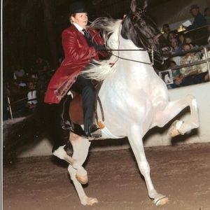 Meet your Posher, Jeannie